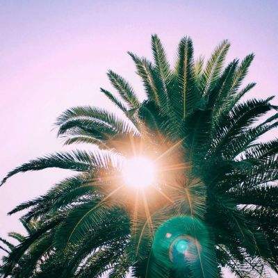 中欧体育app下载官网