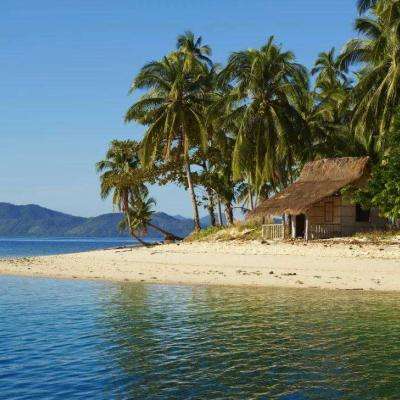 乐动体育app下注下载