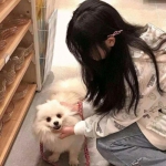 澳门精准正版资料大全